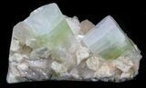 Uniquely Zoned Apophyllite Crystals With Stilbite - India #34064-1